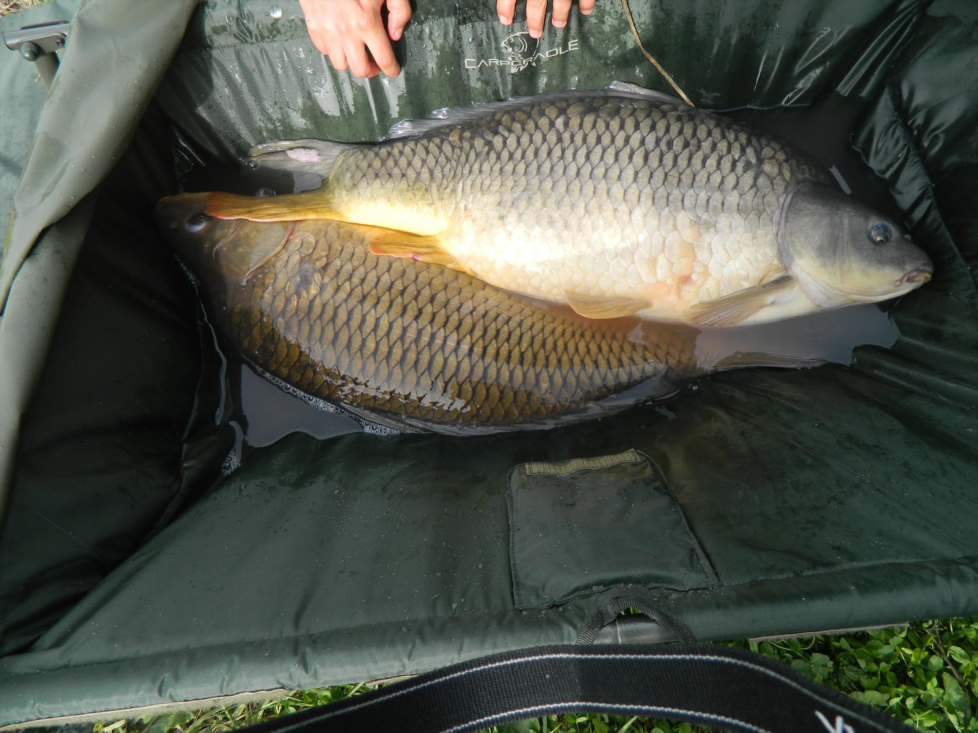 Sisterea 31.05-02.06 - dscn2758.JPG